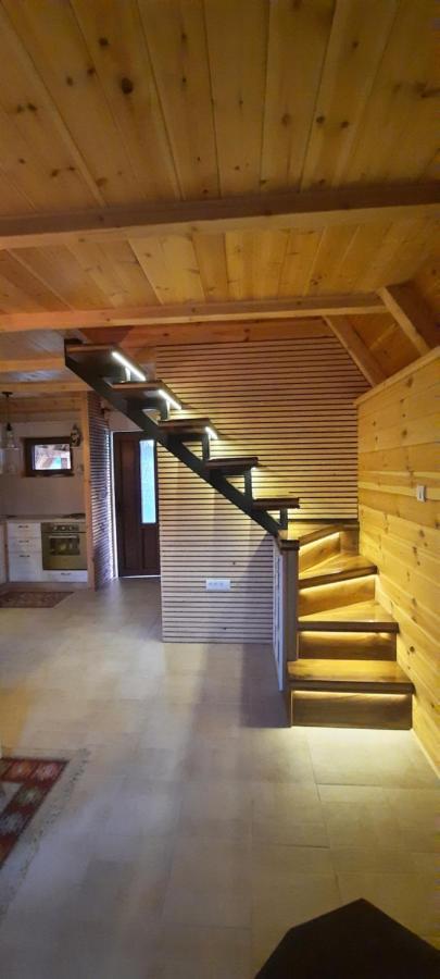 Vila Mountain House Bjanka Žabljak Exteriér fotografie